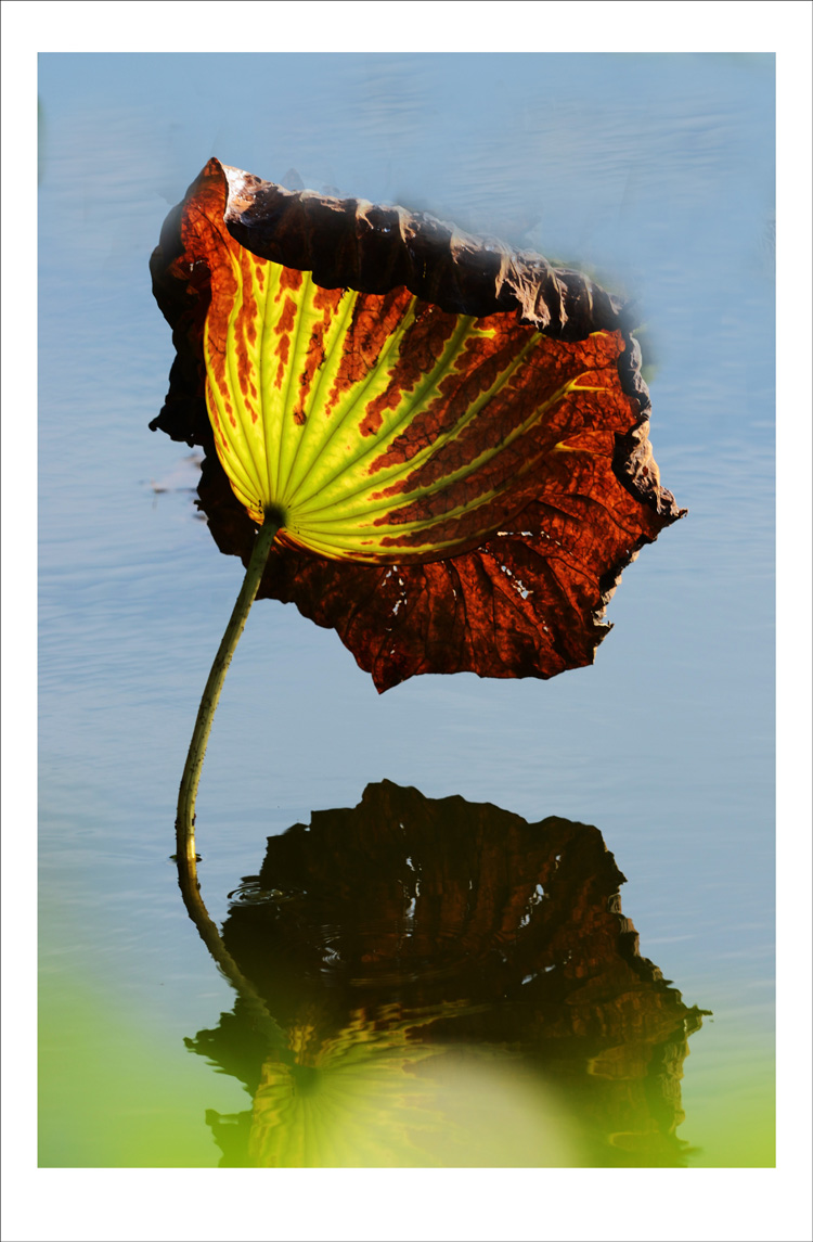 DSC_6936_conew1.jpg