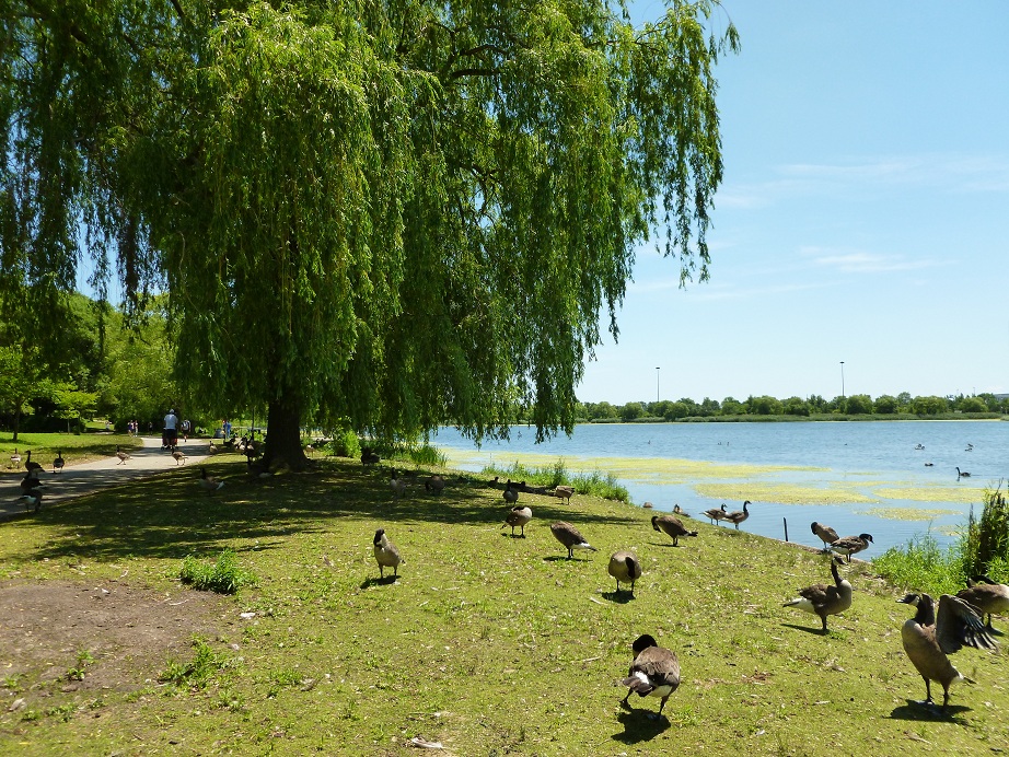 P1010015.JPG