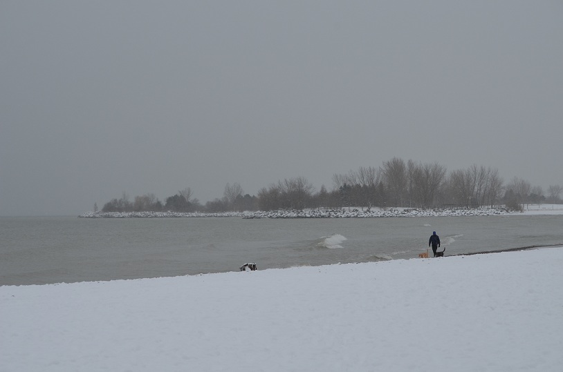 DSC_2480.JPG