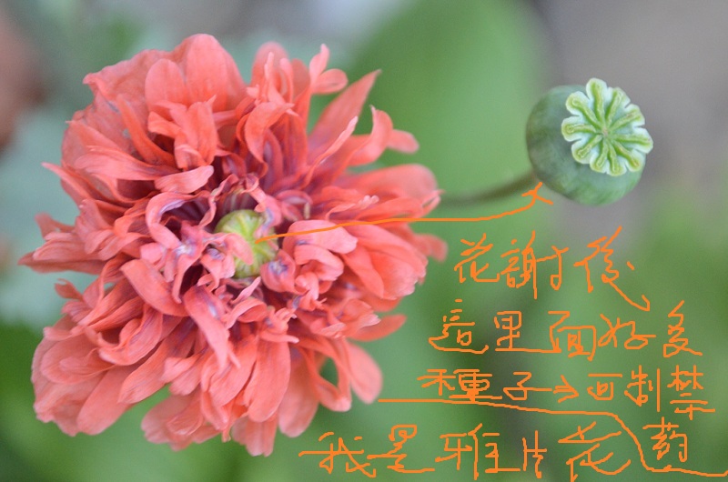 2_30362_fe4d55817e91596.jpg