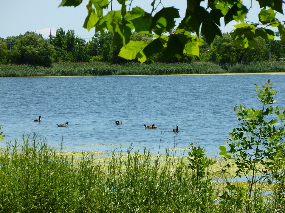P1010005.JPG