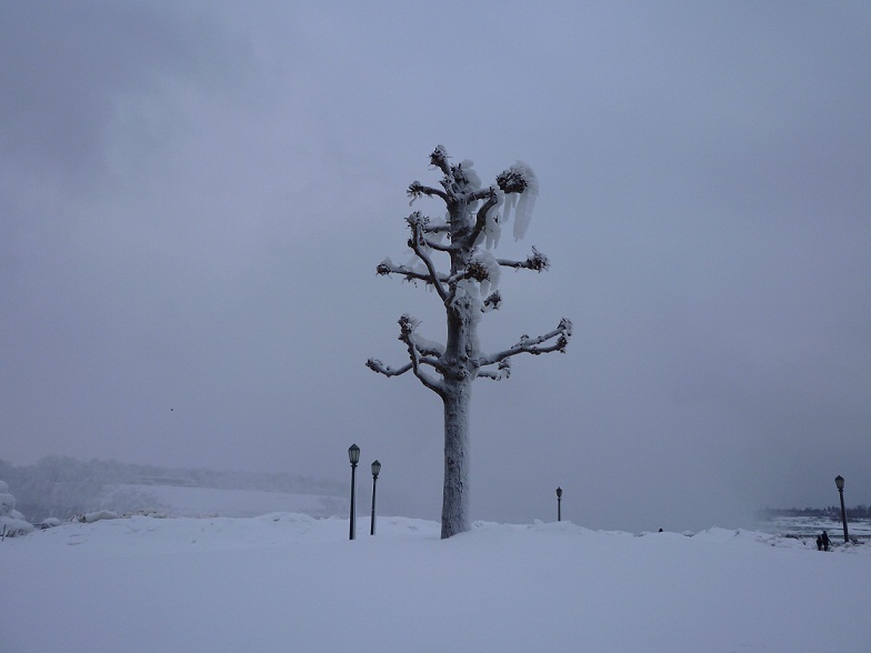 P1000128.JPG