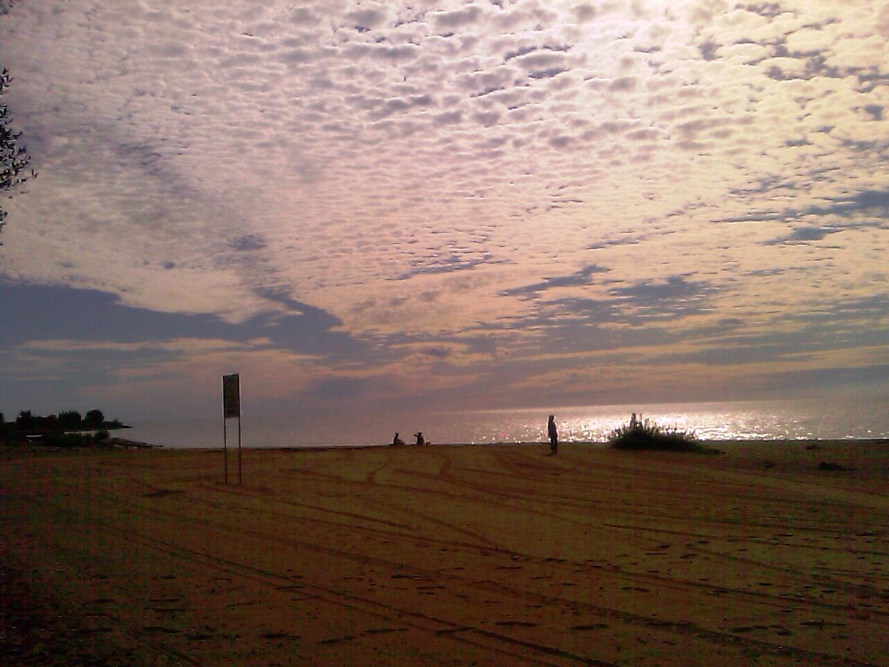 IMAG0463.jpg