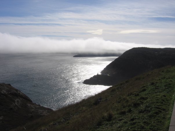 newfoundland.jpg
