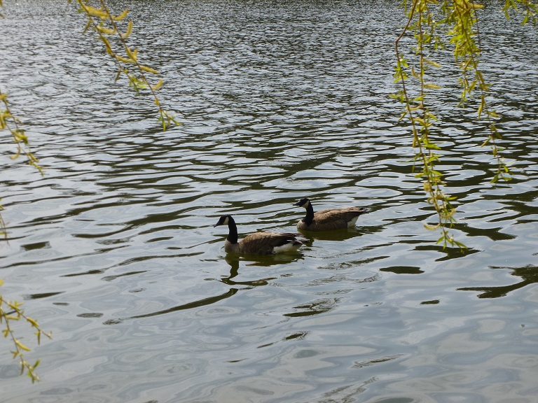 P1070138.JPG