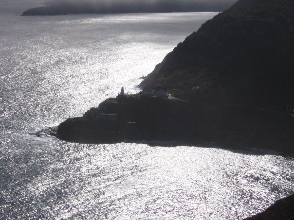 newfoundland1.jpg