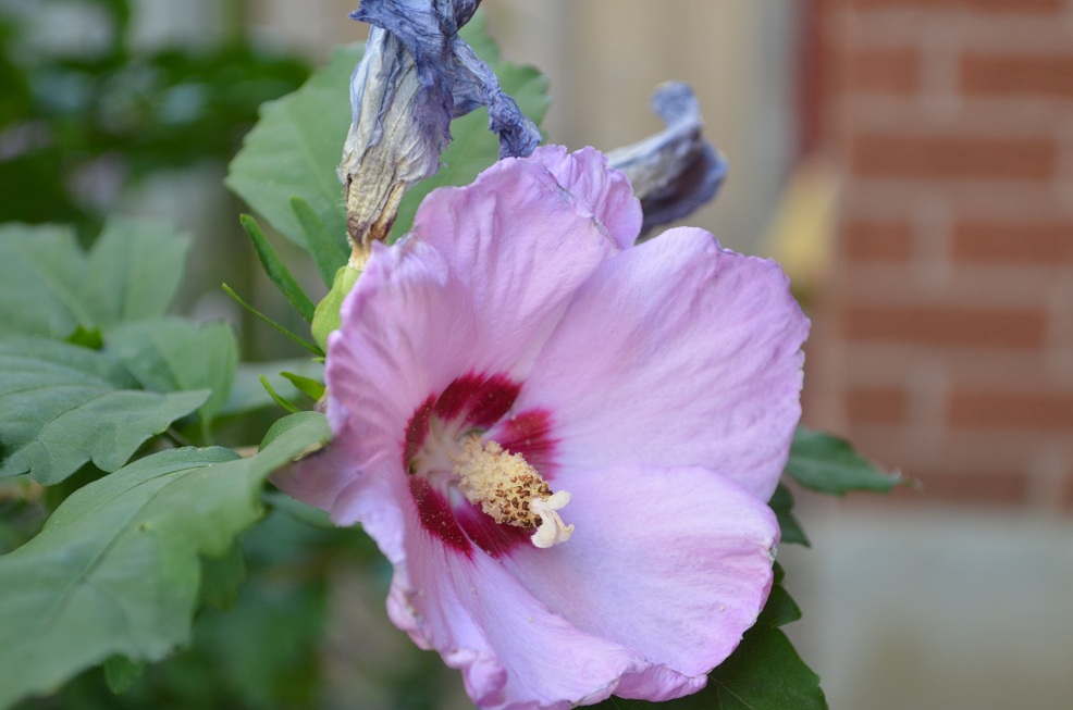 DSC_6495.JPG