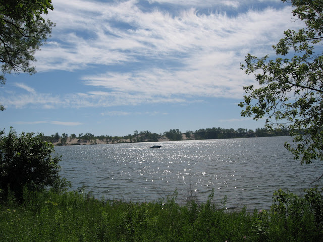 IMG_7132.jpg