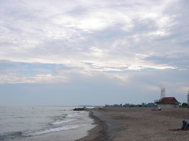 DSC06979.JPG