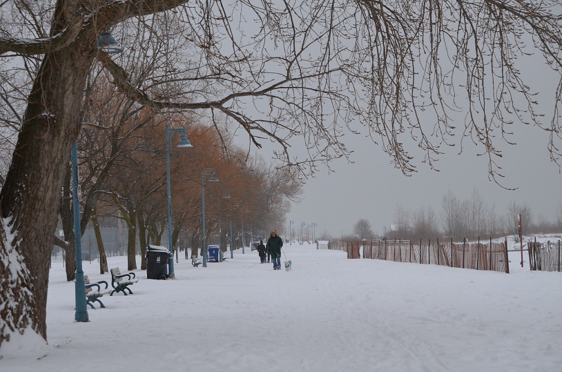DSC_2501.JPG