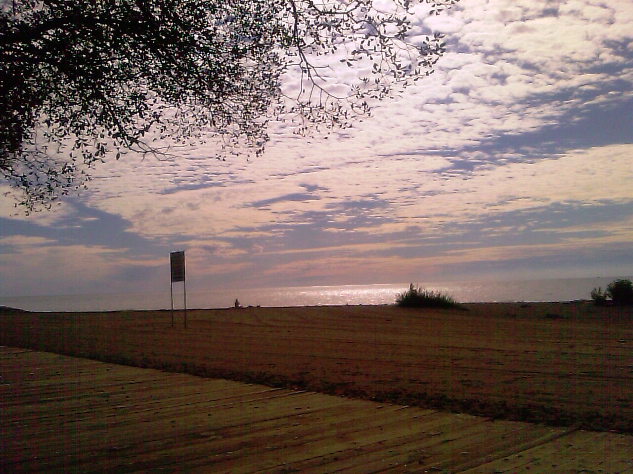 IMAG0465.jpg