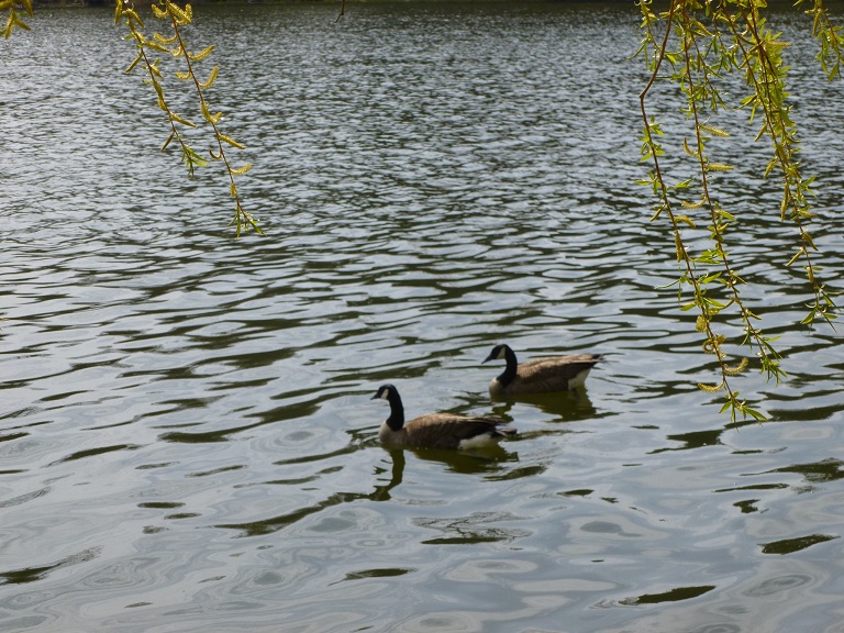 P1070137.JPG