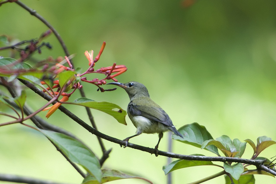 DSC_9158.jpg