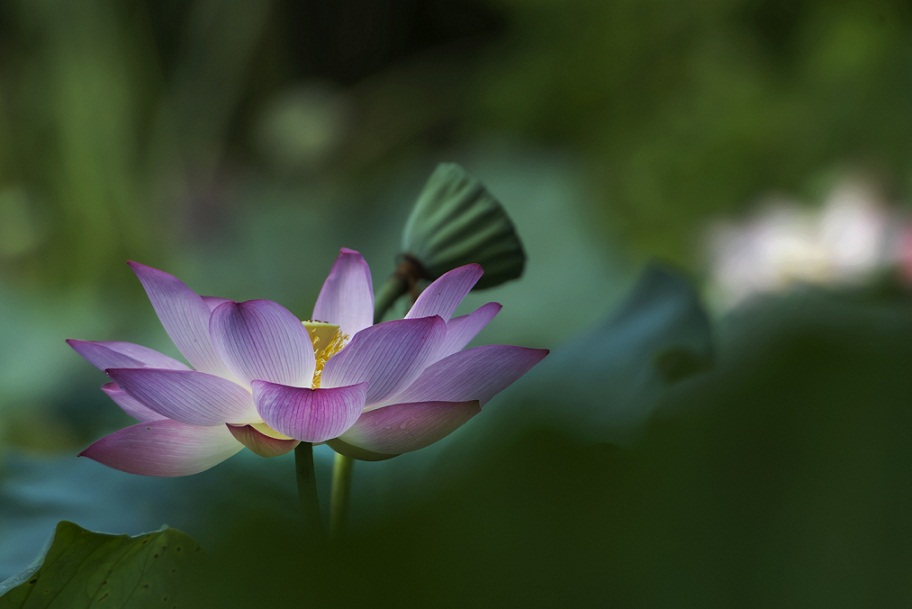 DSC_8200.jpg