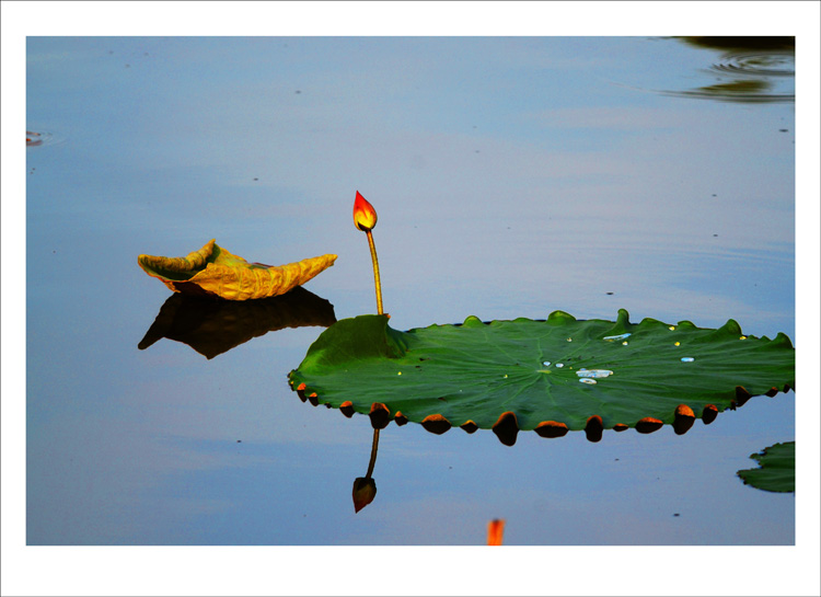 DSC_1828_conew1.jpg