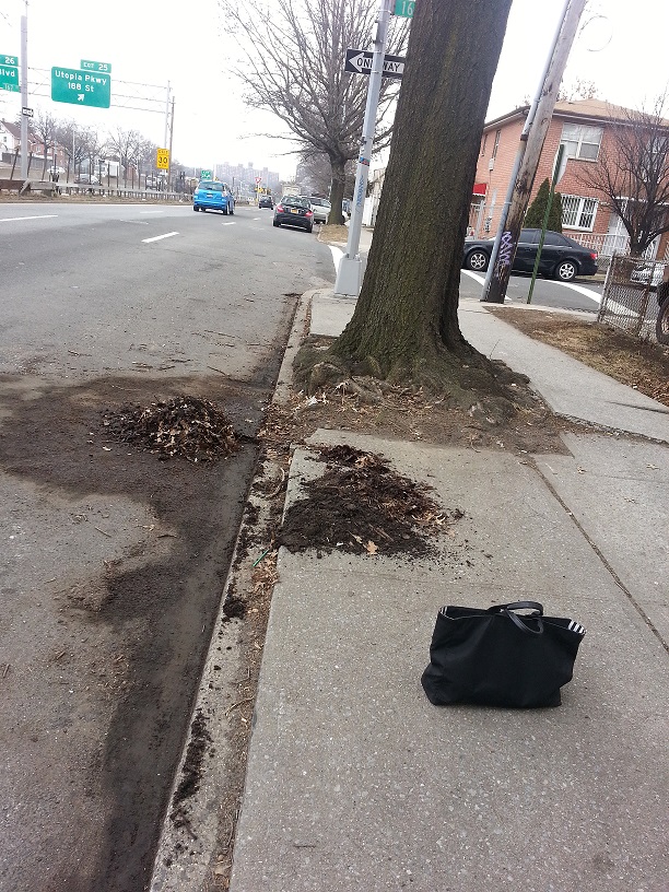 20130226_101049.jpg