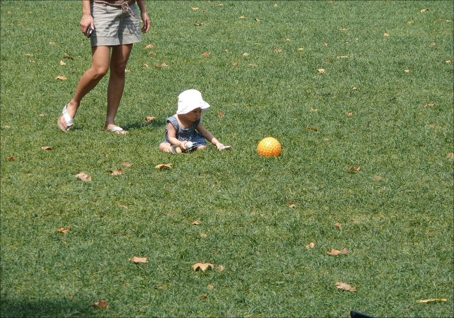 l1040843_conew1.jpg