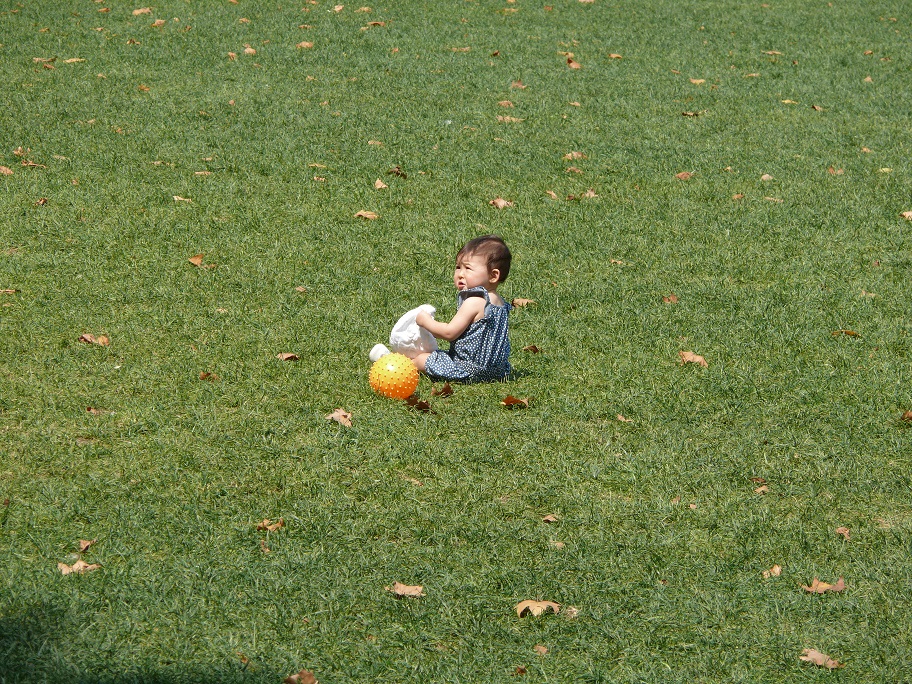 L1040849.JPG