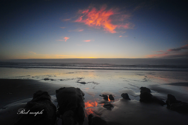 DSC_0580_����.png