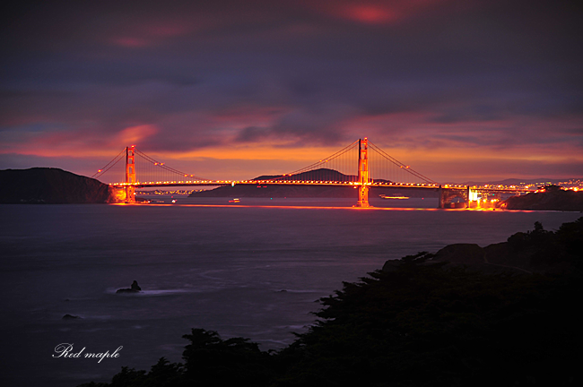 DSC_8176_����.png