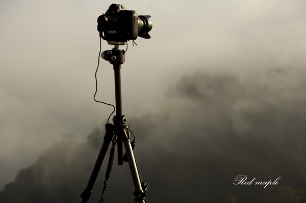 DSC_8084_����.png