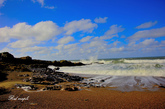 DSC_1064_5_6_tonemapped.jpg
