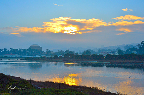 DSC_0994_����.png