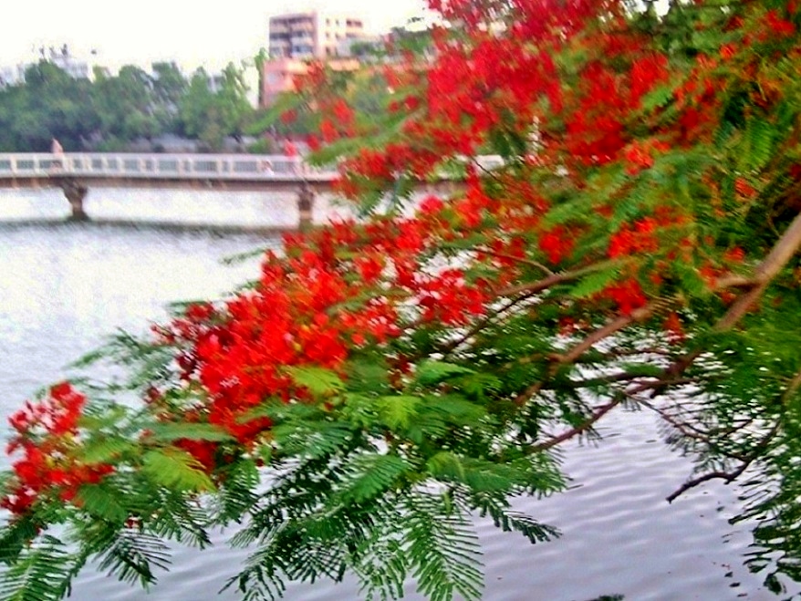 ��Ƭ-0004.jpg