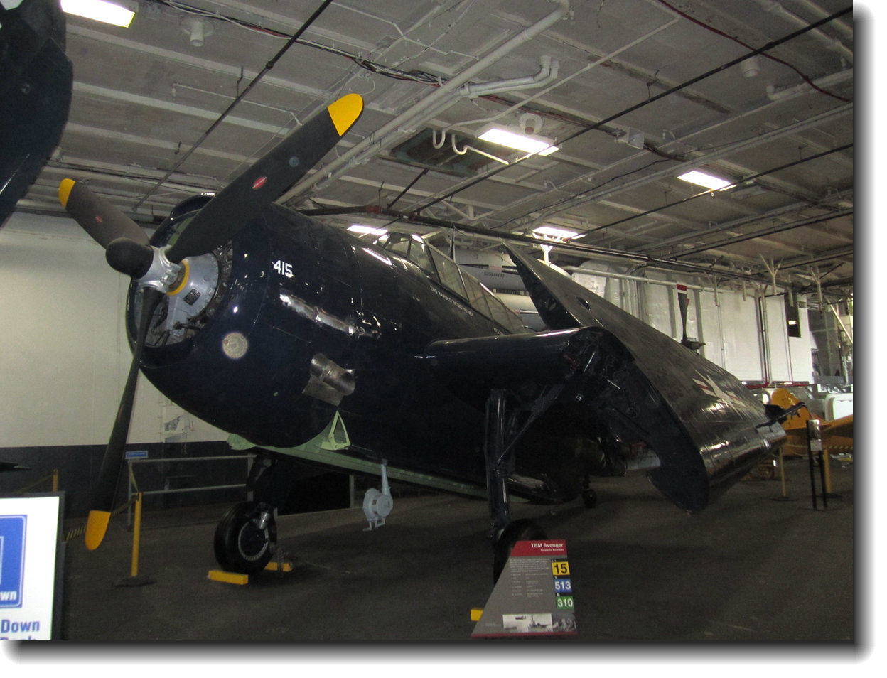 2011-----SF 651_.jpg