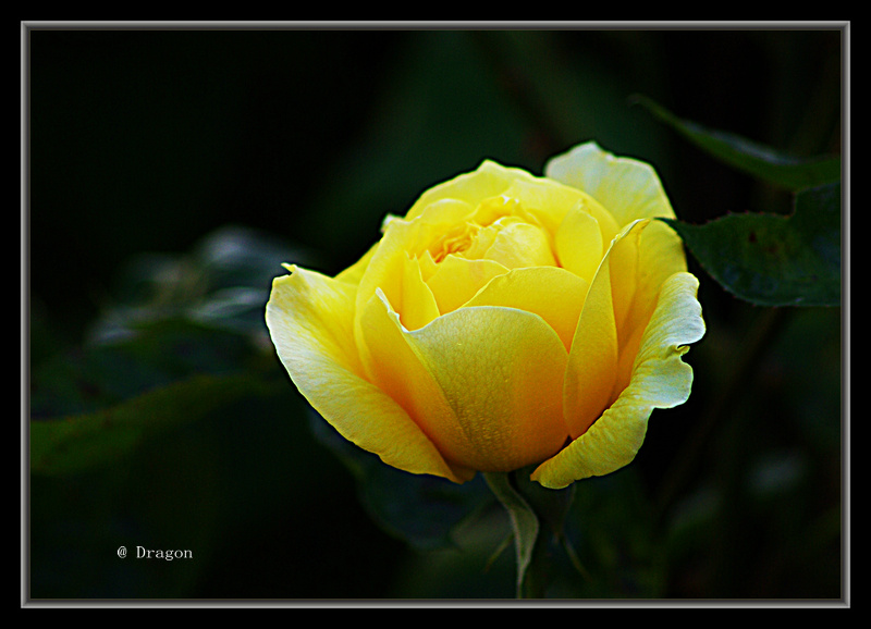 IMGP3675.jpg