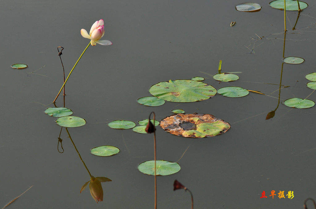 DSC_1325.JPG