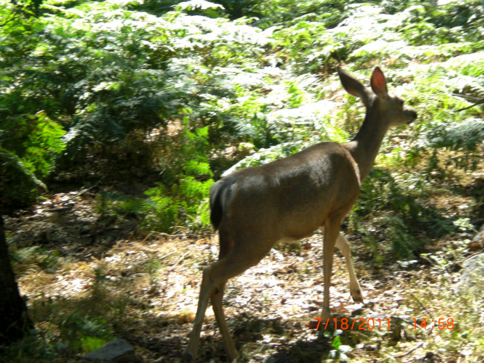 2011_11120406.JPG