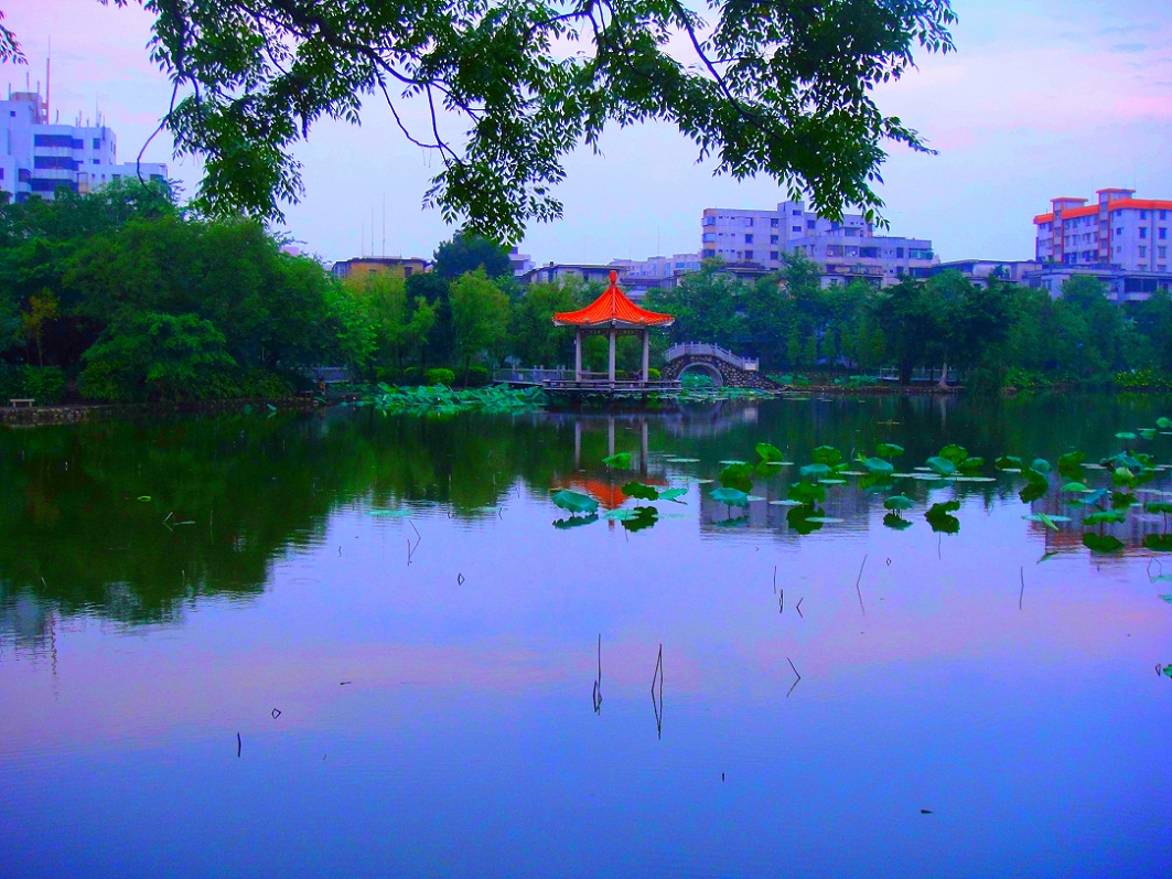 DSC09104_.jpg