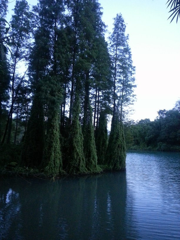 20130729_192012.jpg