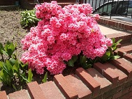 2013-05-13 13.56.19.jpg