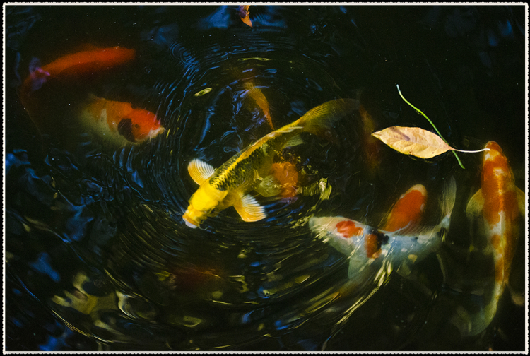 DSC_9163.jpg