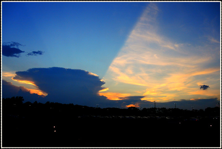 DSCN7789.jpg