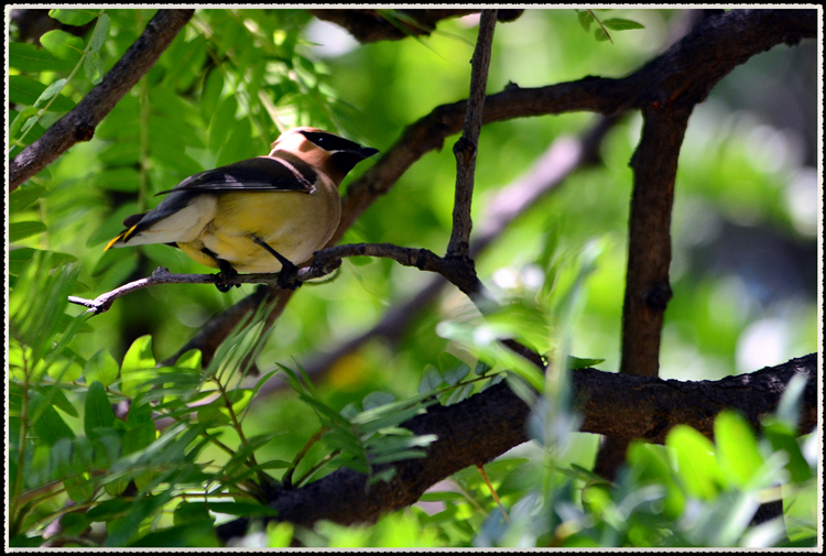 DSC_9679.jpg