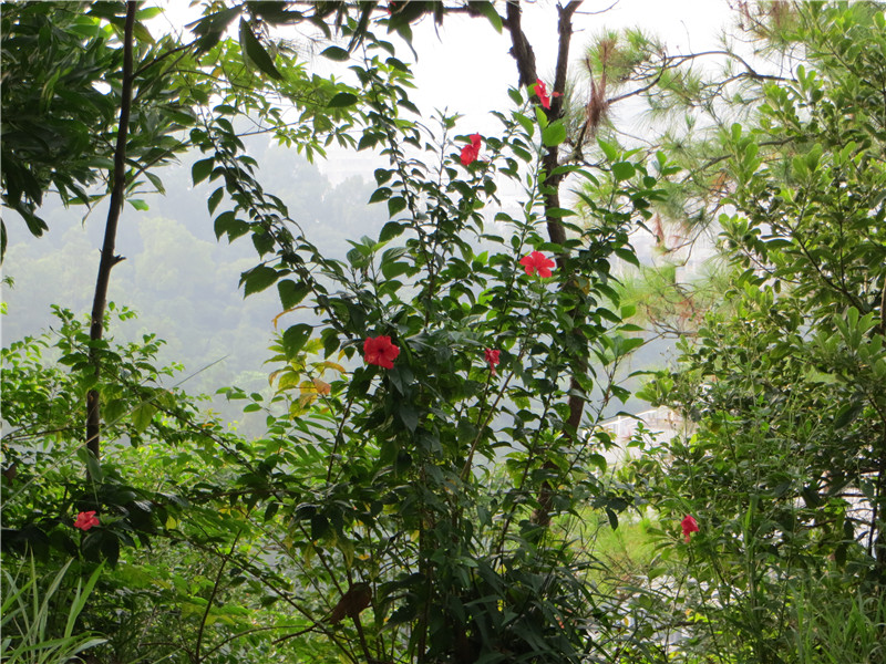 IMG_3824.jpg