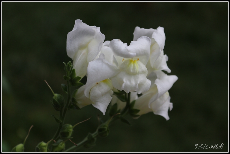 201308026 028_conew1.jpg