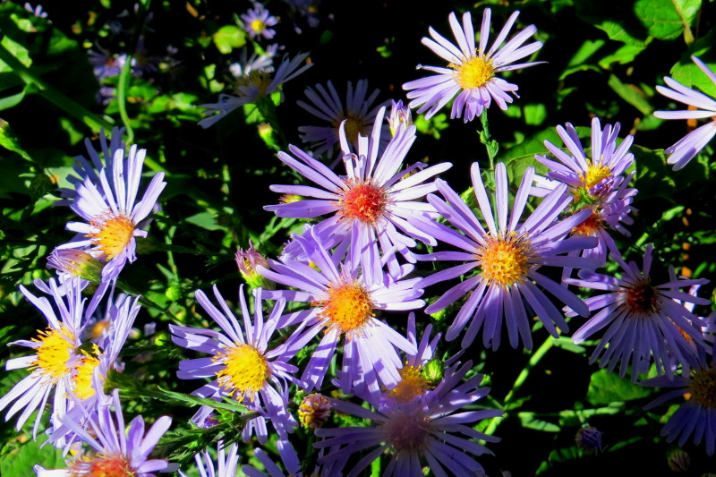 IMG_0001_5183.jpg