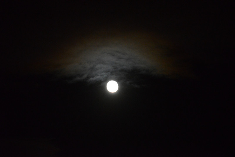 moon 048_.jpg