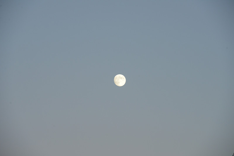 moon 012_.jpg