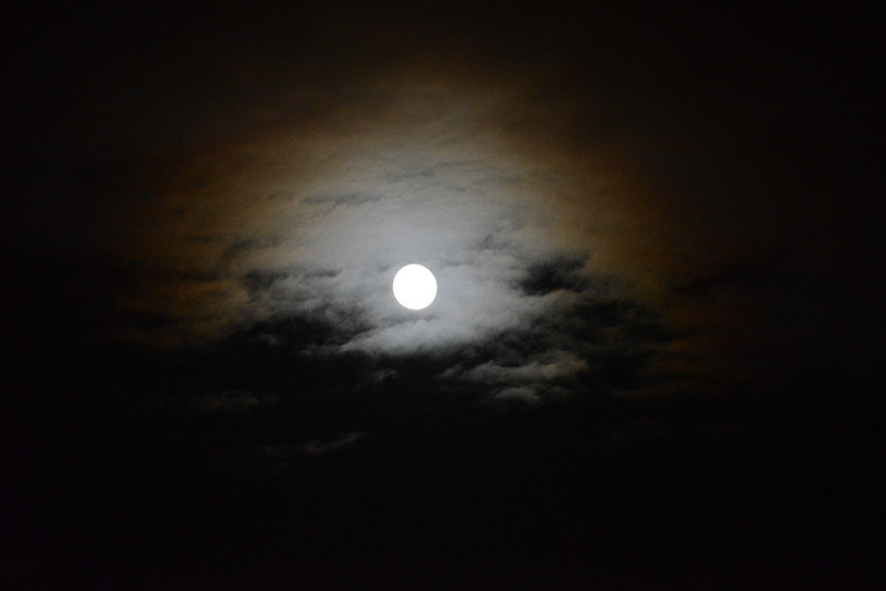 moon 061_.jpg