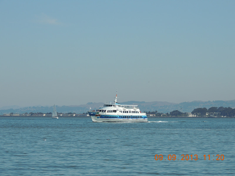 live 598_.jpg