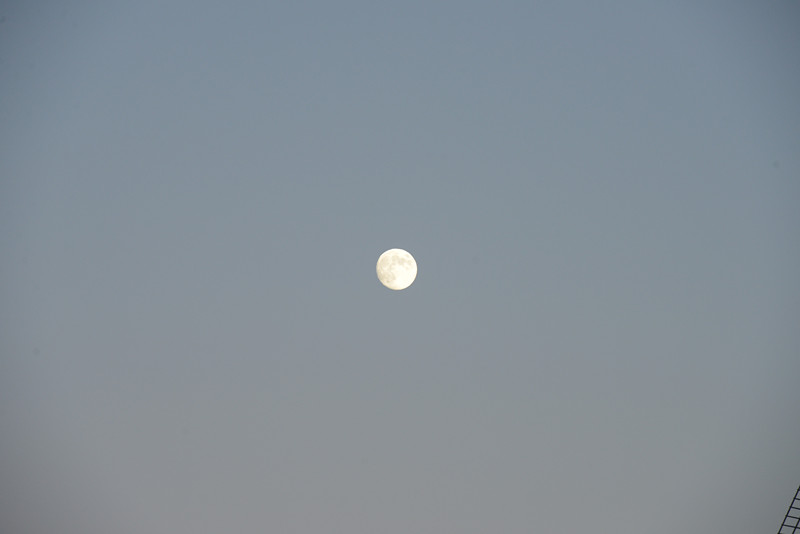 moon 016_.jpg
