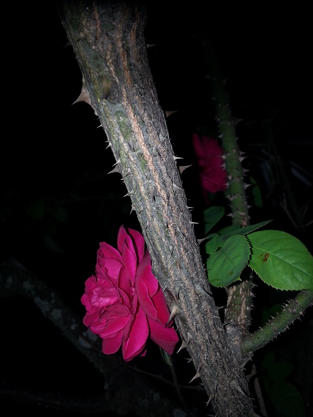 20130827_223835.jpg