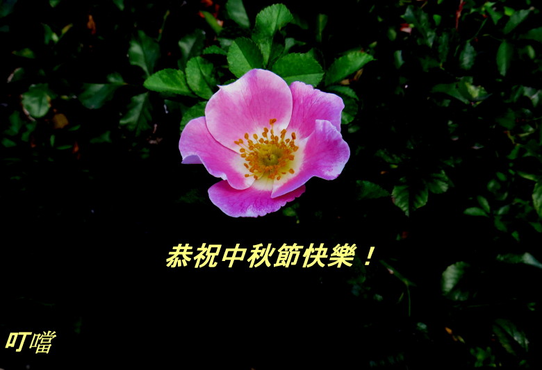 IMG_0001_5059.jpg