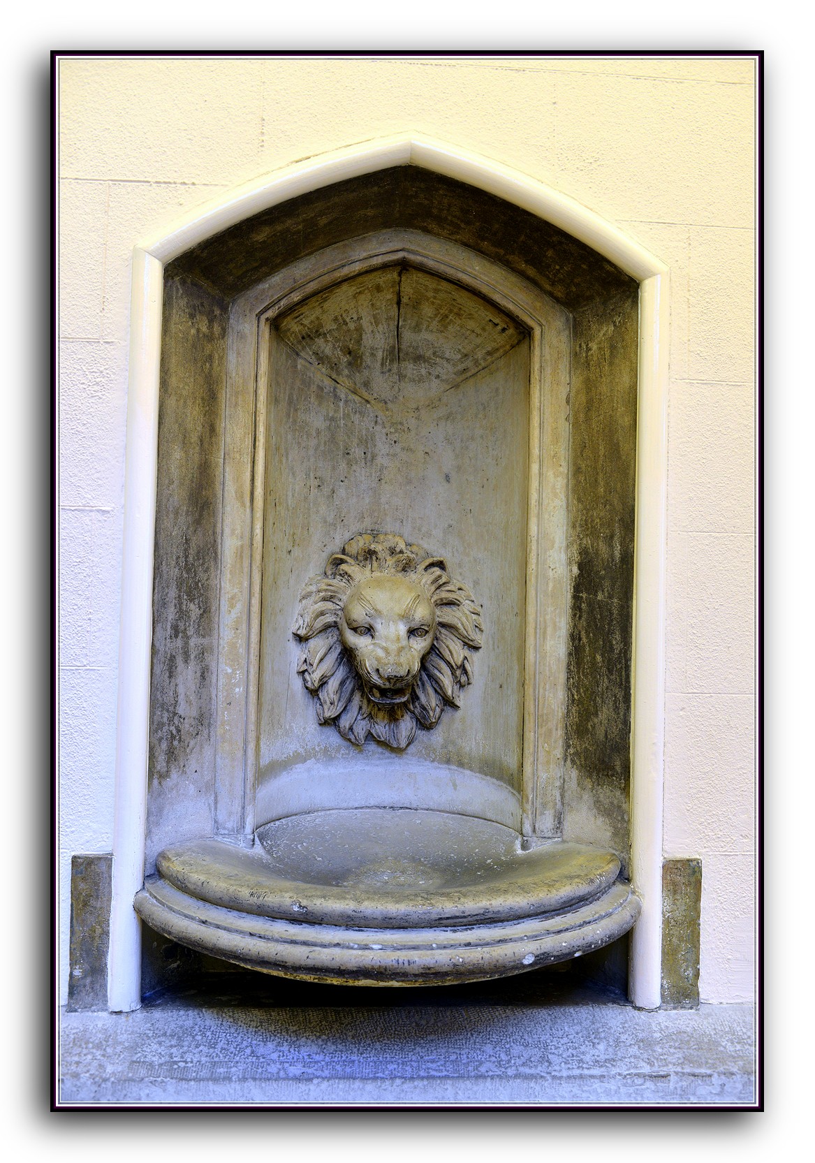 DSC_9387.jpg