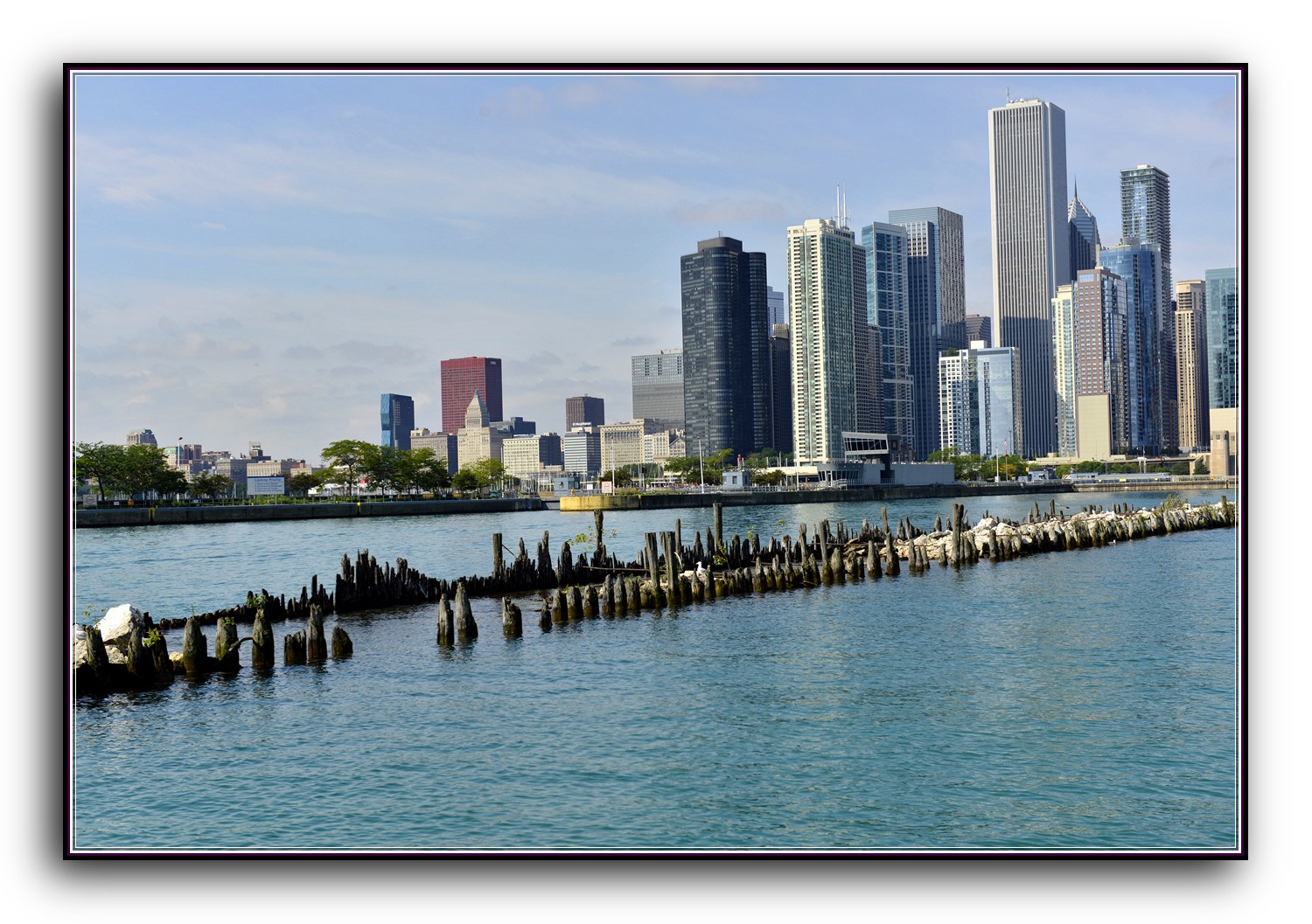 DSC_9771.jpg
